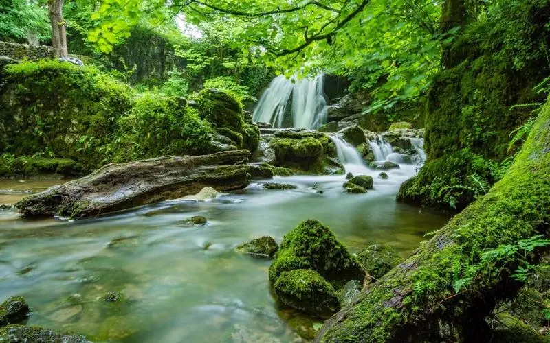 稳定性高端